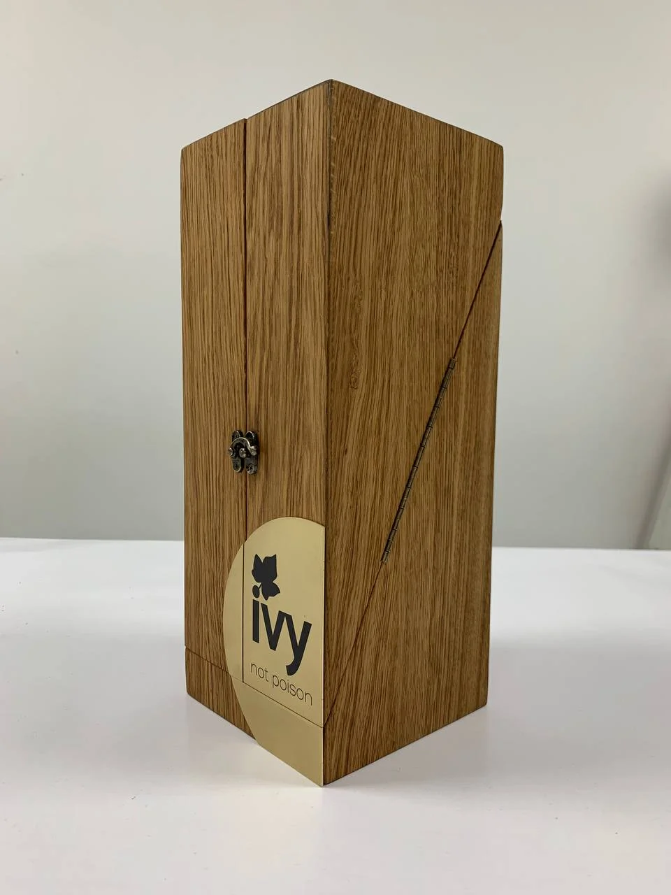 Футляр закрыт — фронтальный вид с логотипом Ivy