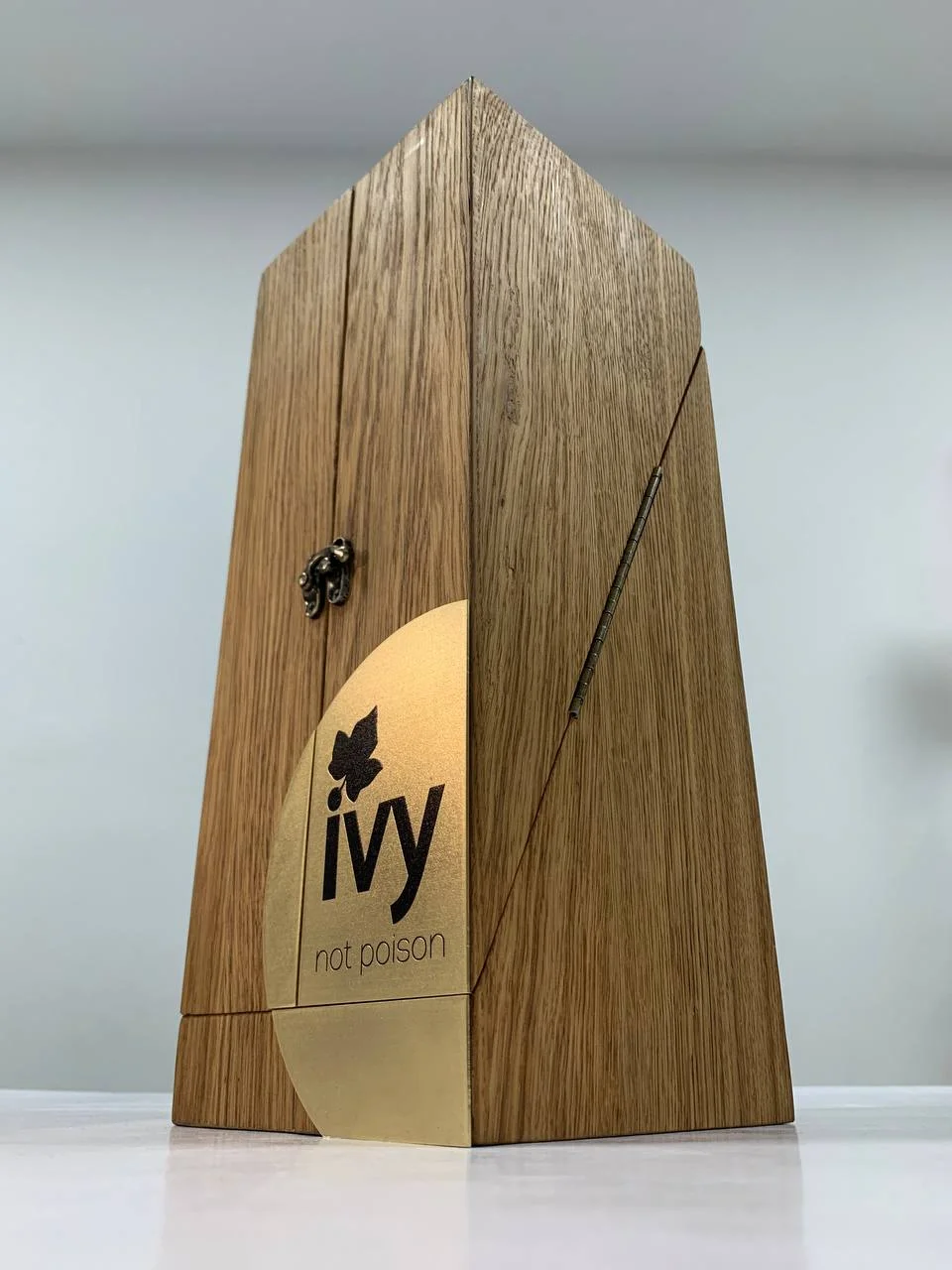 Футляр — вид в перспективе с брендированием